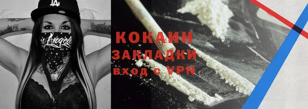 прущие грибы Вязьма