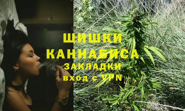 дживик Слюдянка