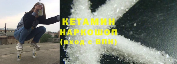 прущие грибы Вязьма
