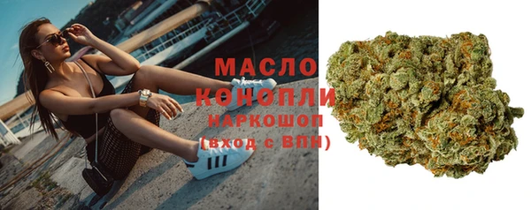 прущие грибы Вязьма