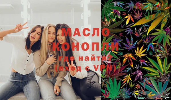 гашик Вяземский