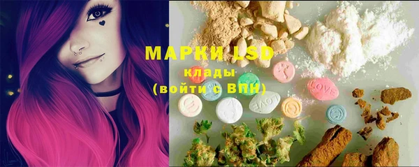 прущие грибы Вязьма