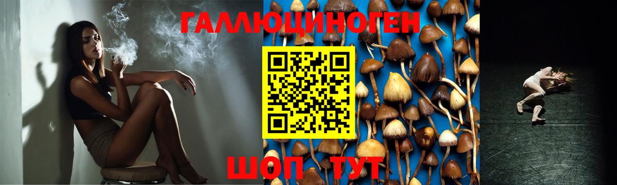 Галлюциногенные грибы мухоморы Дивногорск