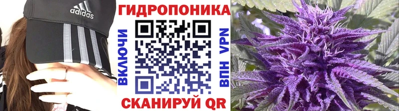 Марихуана семена Дивногорск